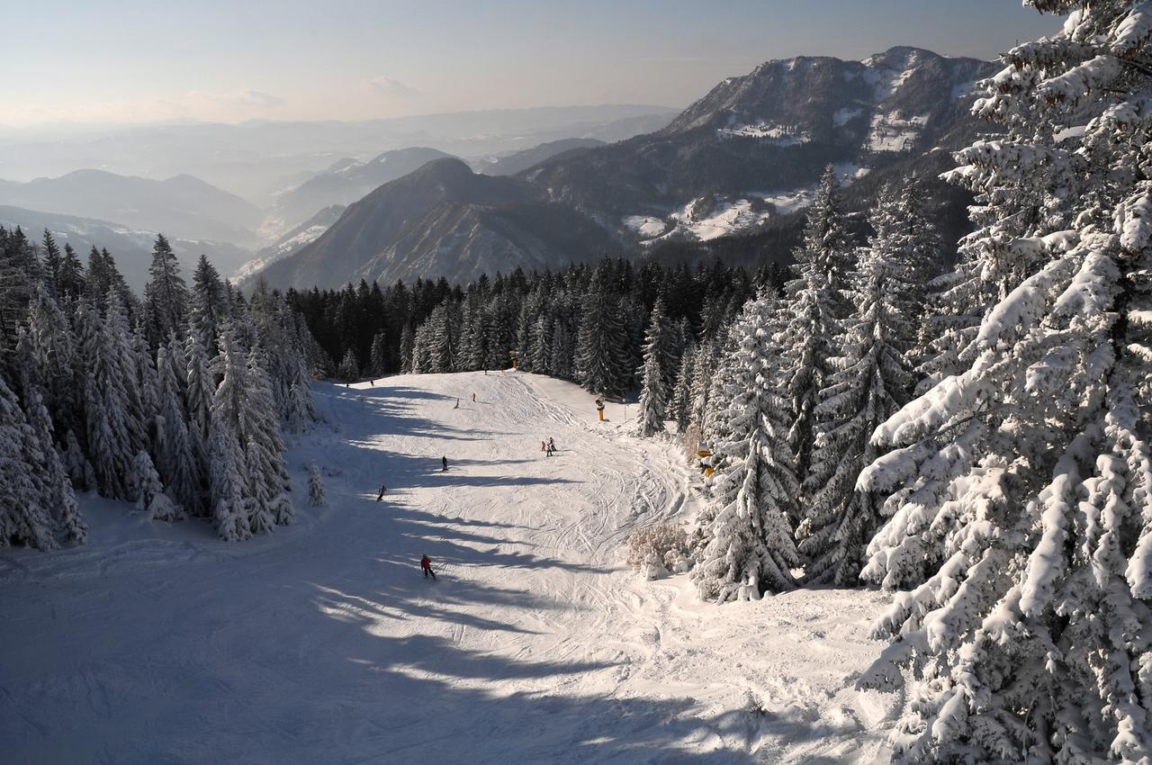 Alpska Perla Apartment