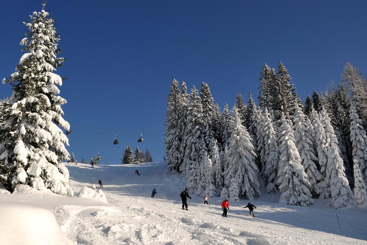 Alpska Perla